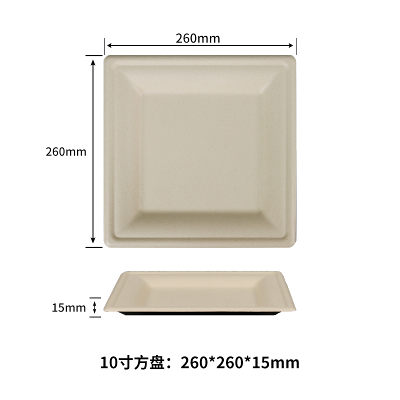 10 inch square plate