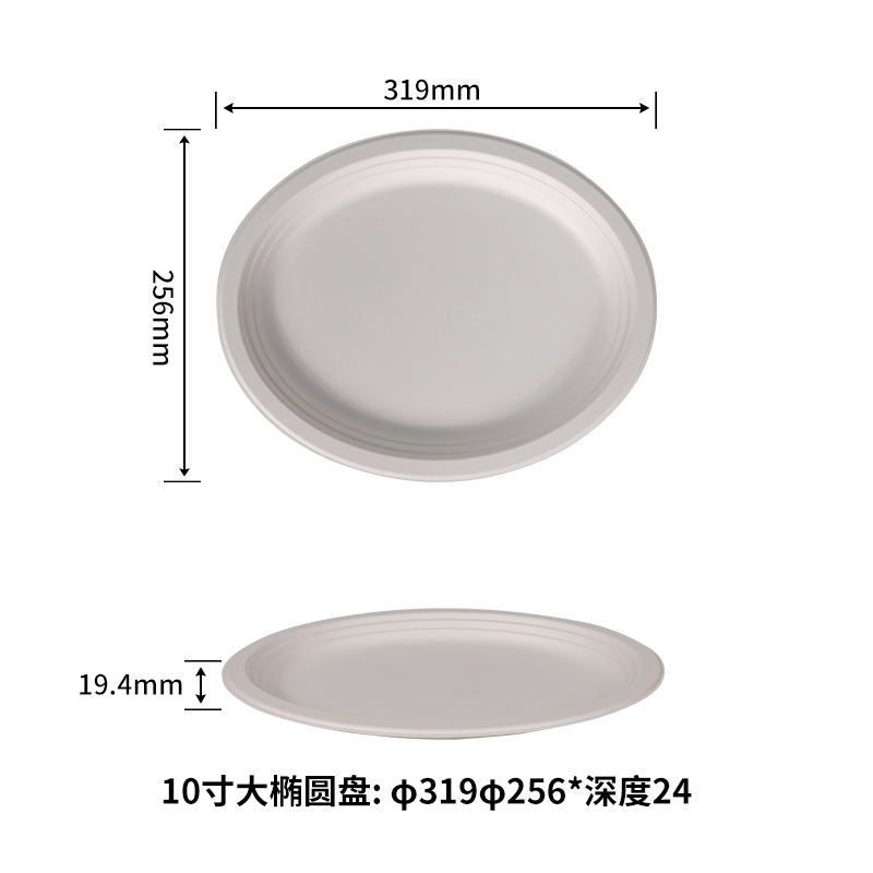 10 inch Oval plate